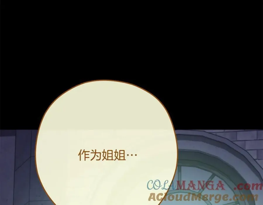 第234话 实施计划108
