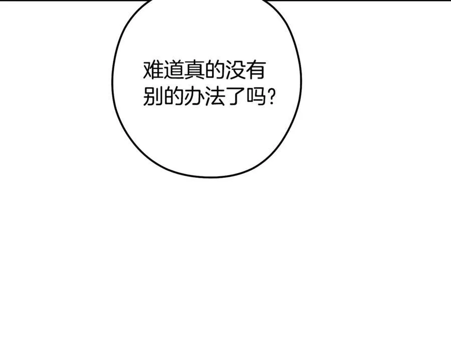 第234话 实施计划207