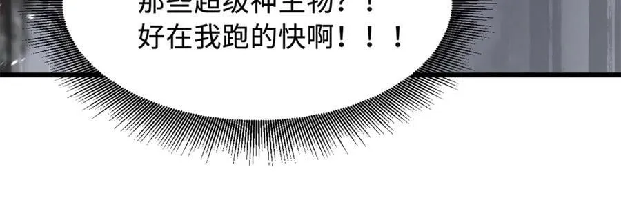 346 基因种子21