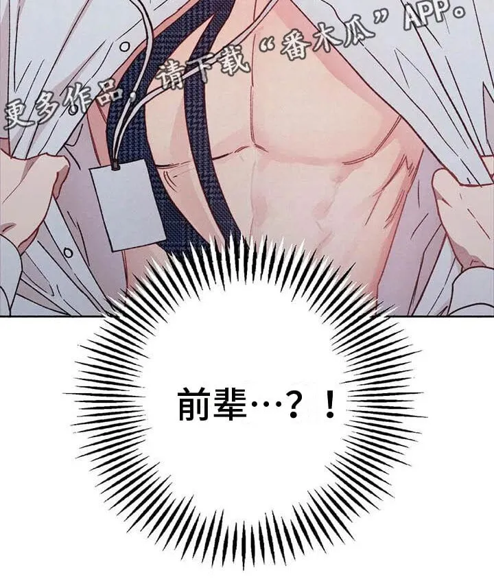 【公告】 更新封面＆本周特典预告24
