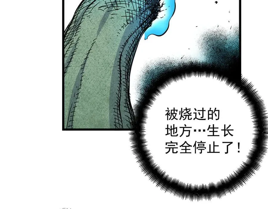 120 状态绝佳32