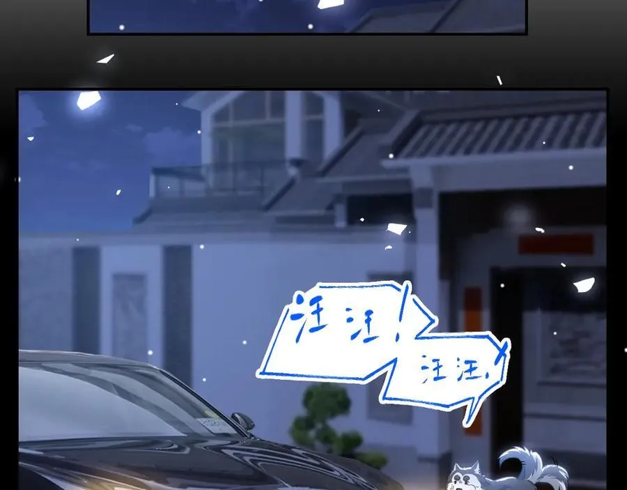 第197话 一起看流星雨58