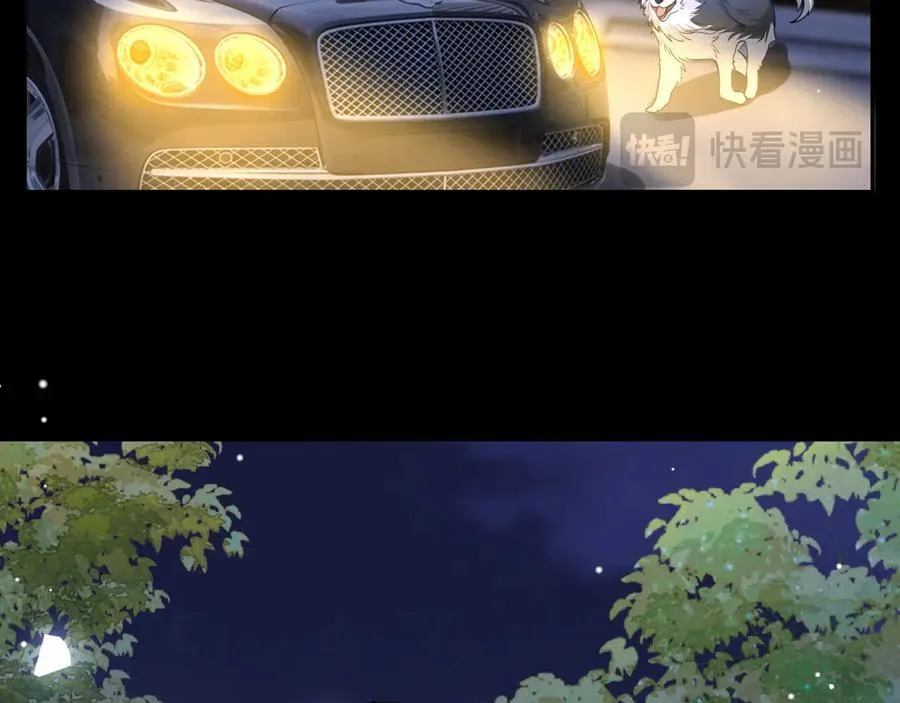 第197话 一起看流星雨59