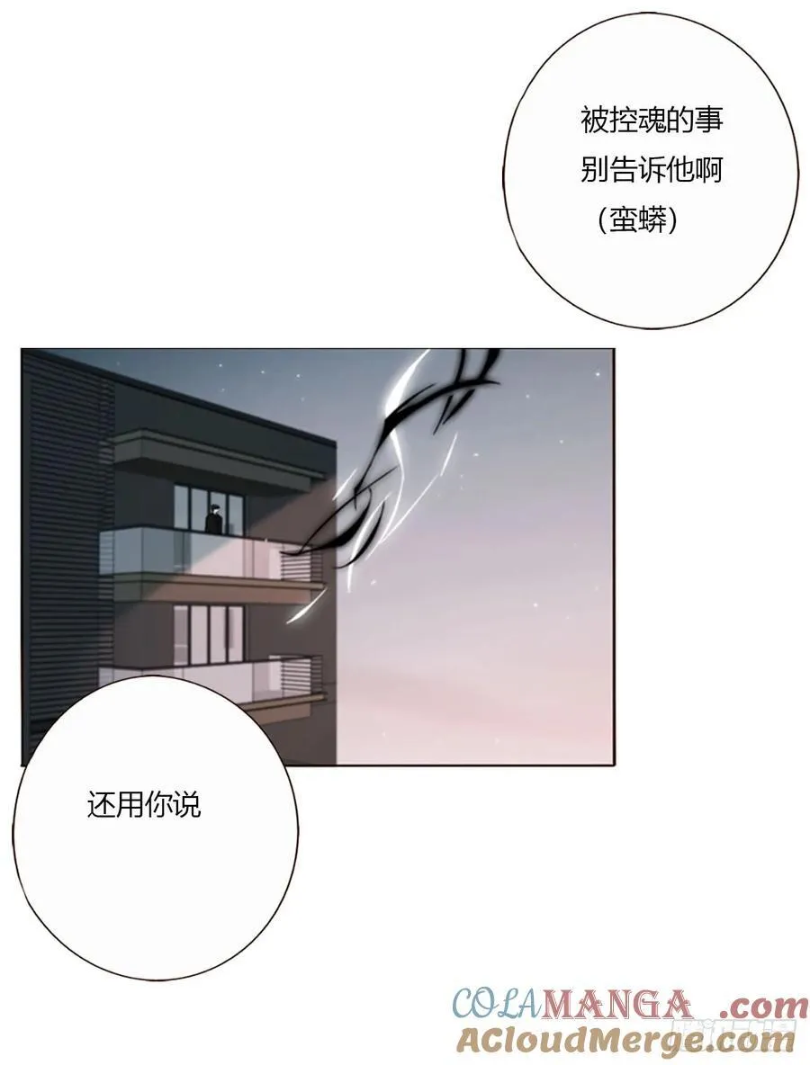 一七九章 蛮蟒的过去18