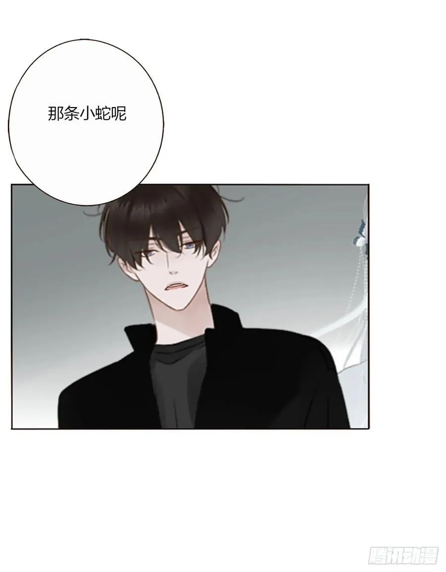 一七九章 蛮蟒的过去13