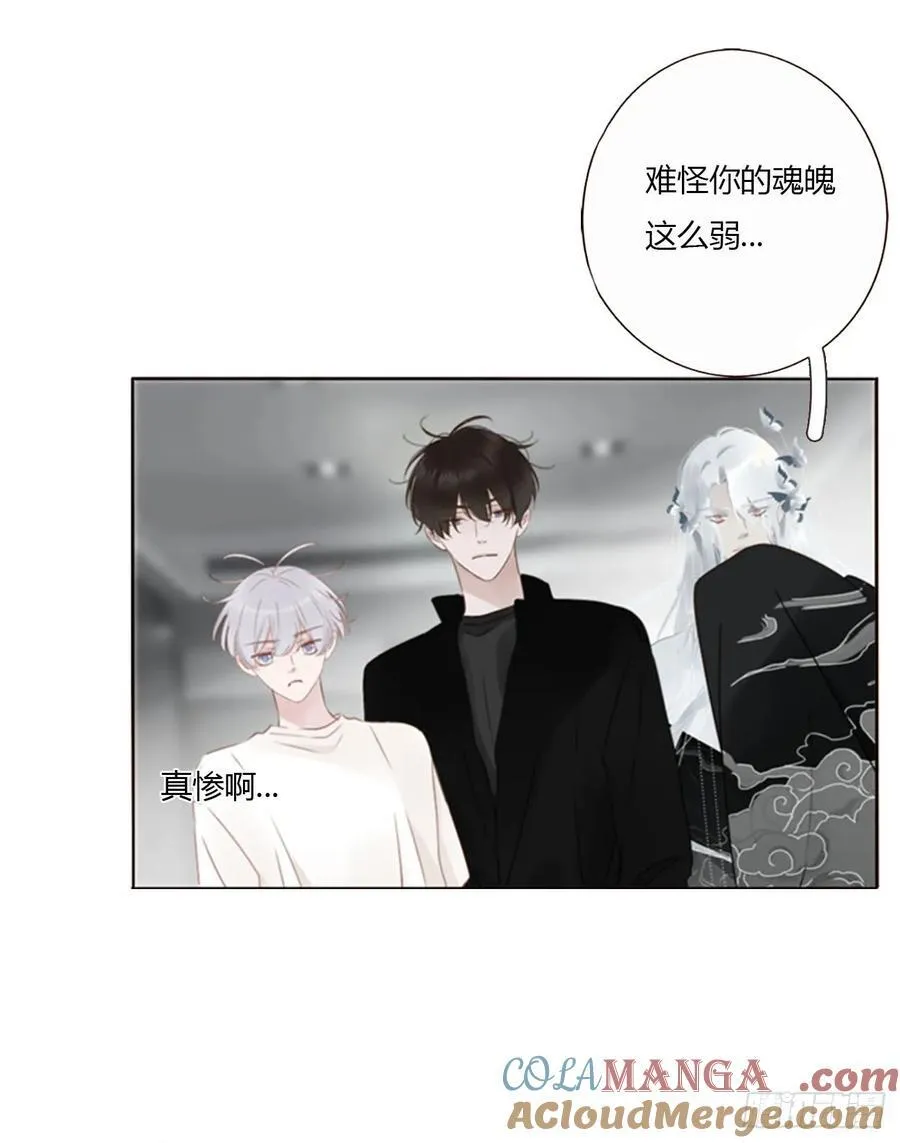 一七九章 蛮蟒的过去12
