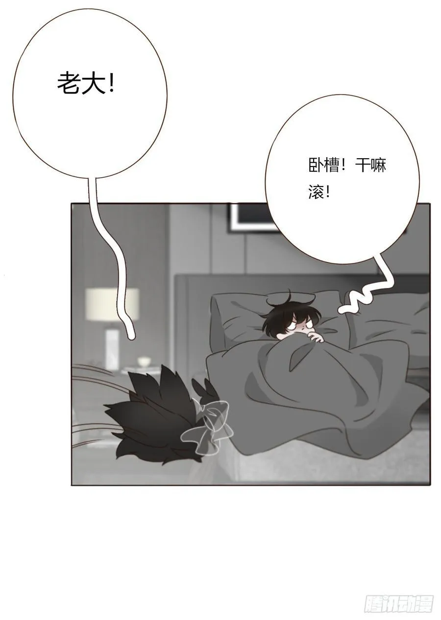 一七四章 千岩身上的秘密221