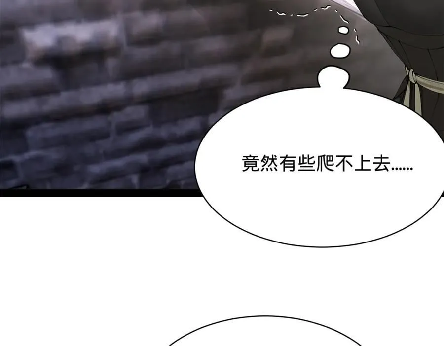 282 寡人愧于张氏一族115