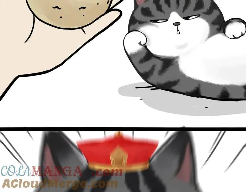第463话 确诊为食物48