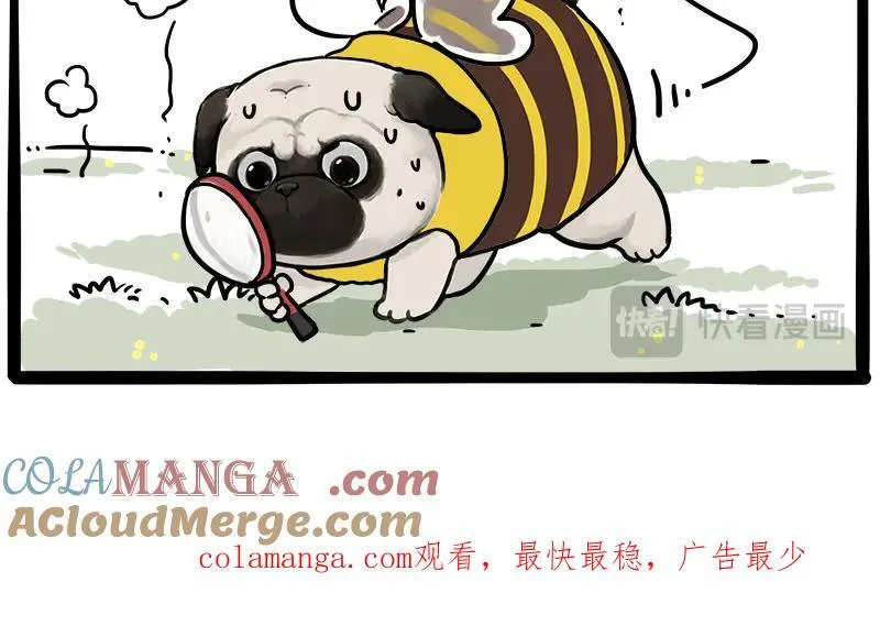 第462话 鸽王（被迫版）63