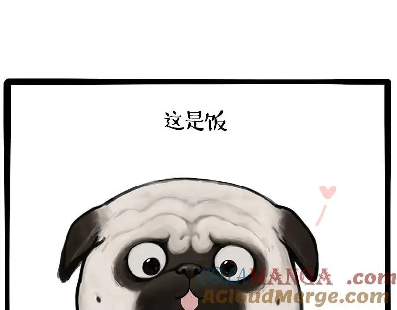 第462话 鸽王（被迫版）48