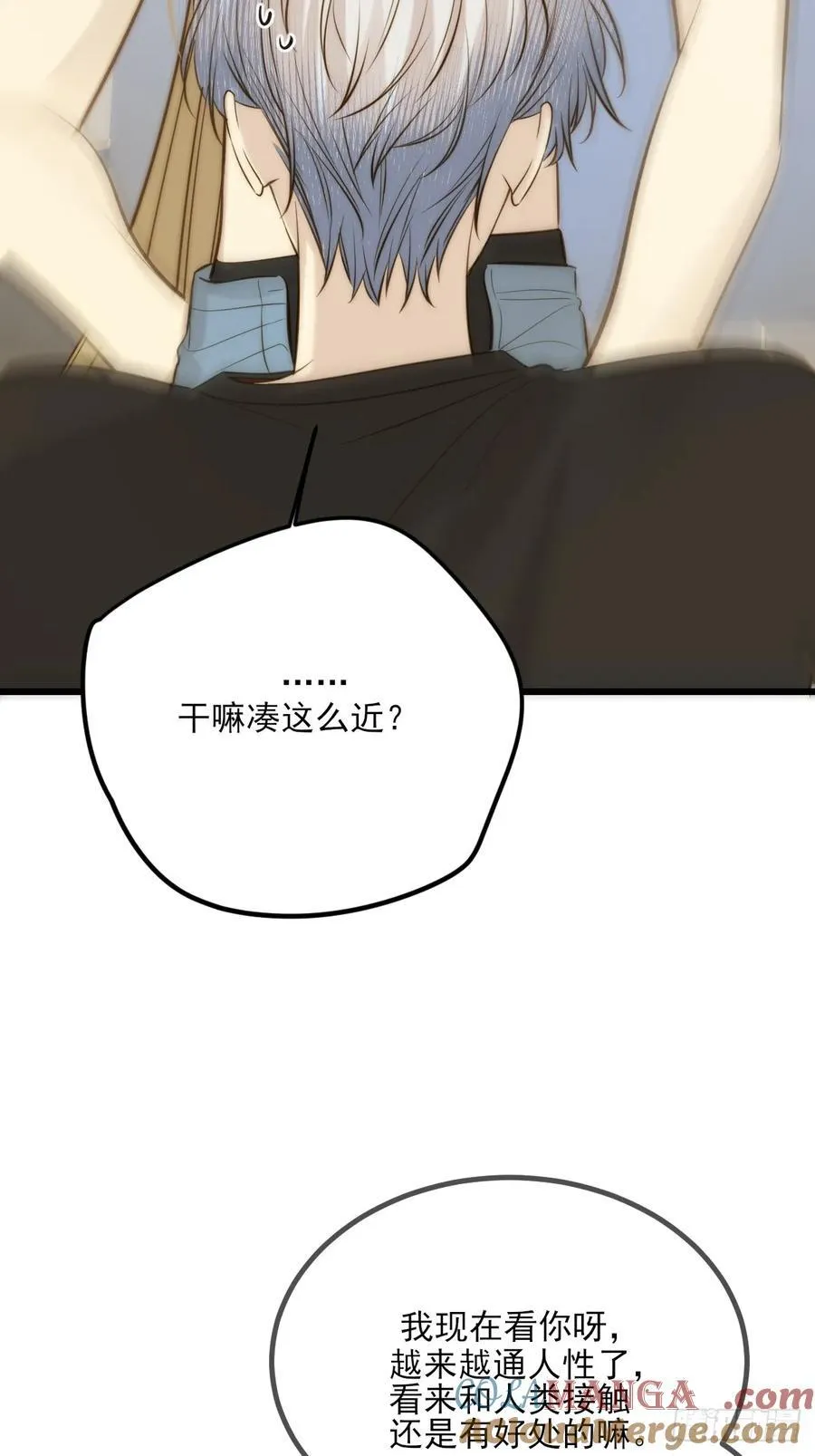 哥哥回国27