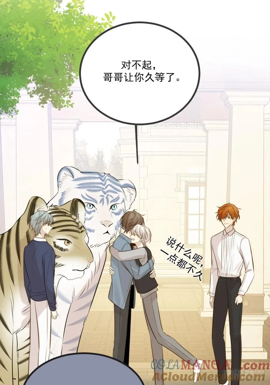 家里多了两只？48
