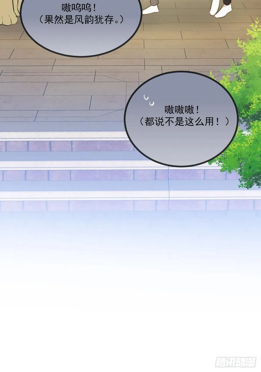 家里多了两只？49