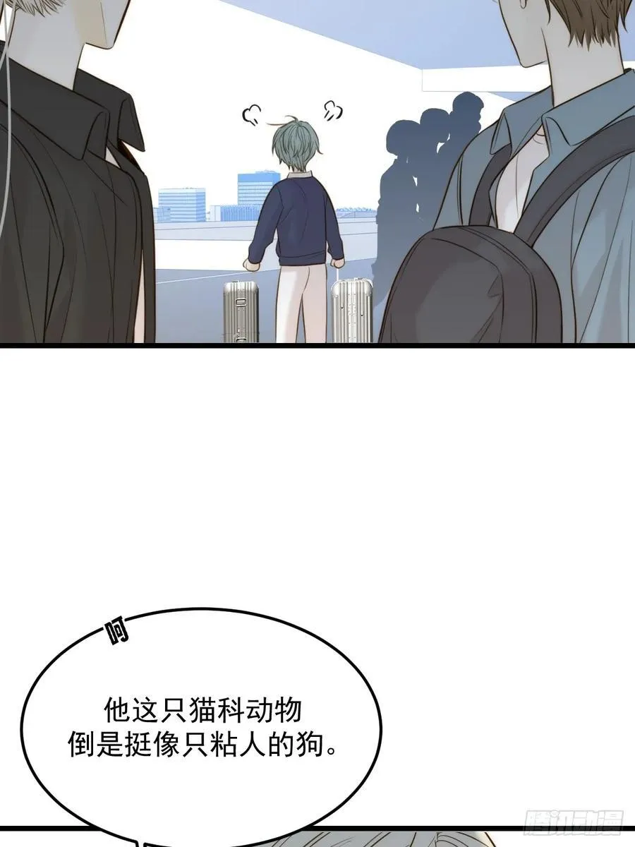 家里多了两只？5