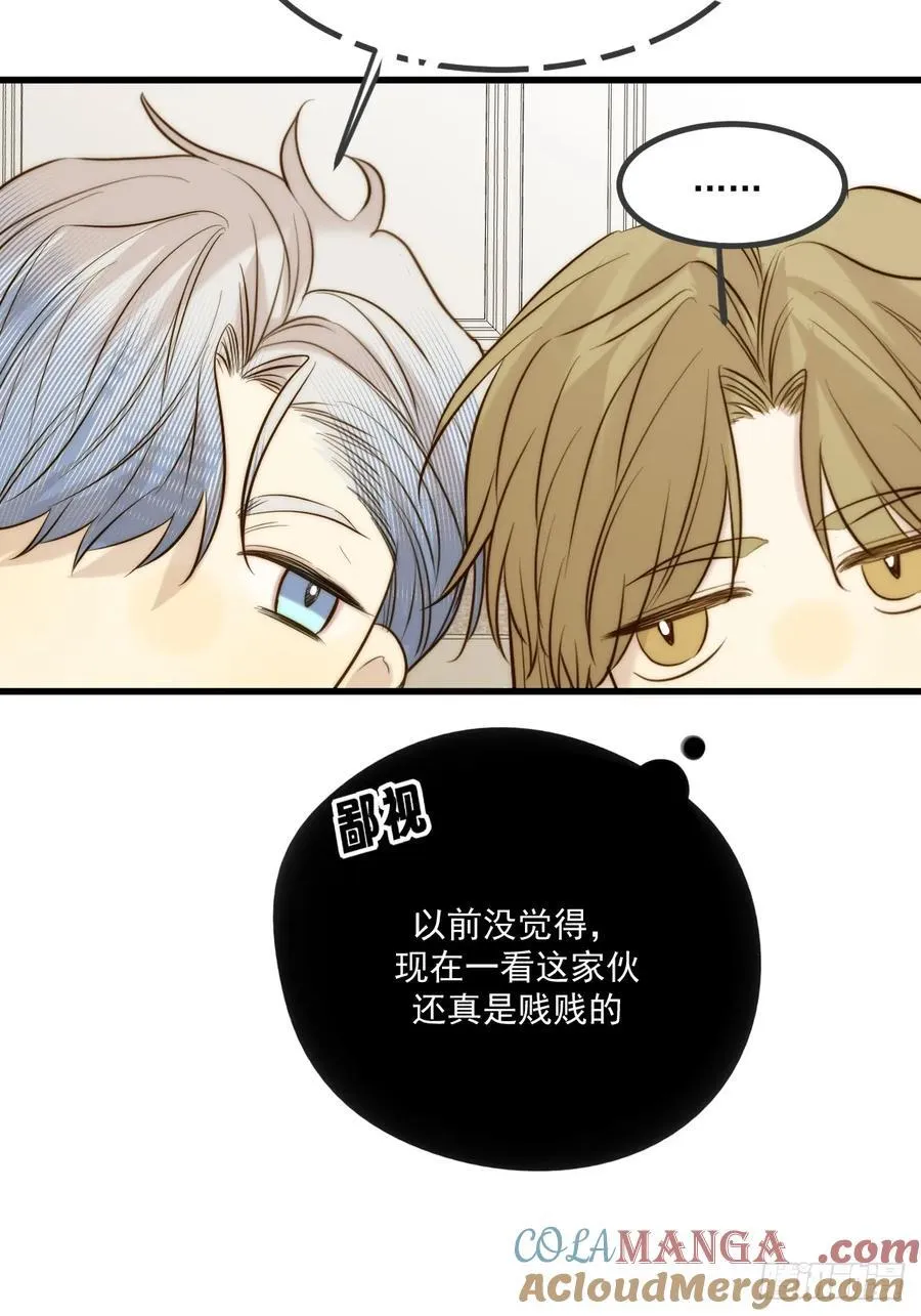 家里多了两只？33