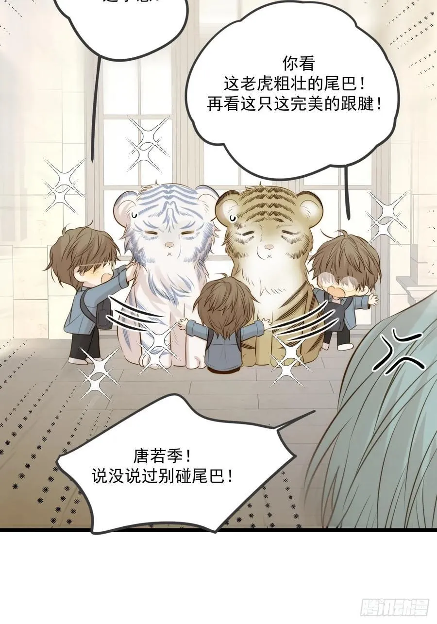 家里多了两只？43