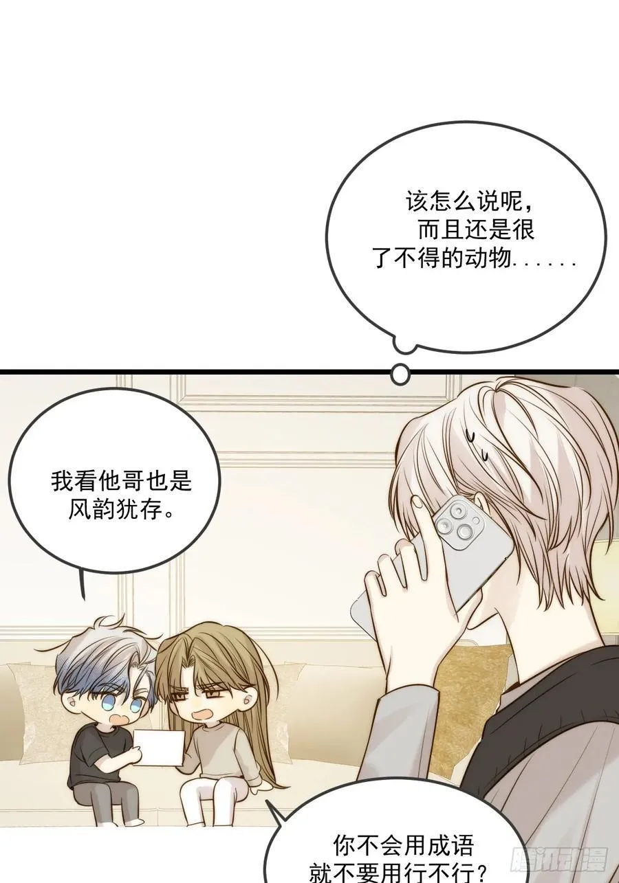 家里多了两只？29