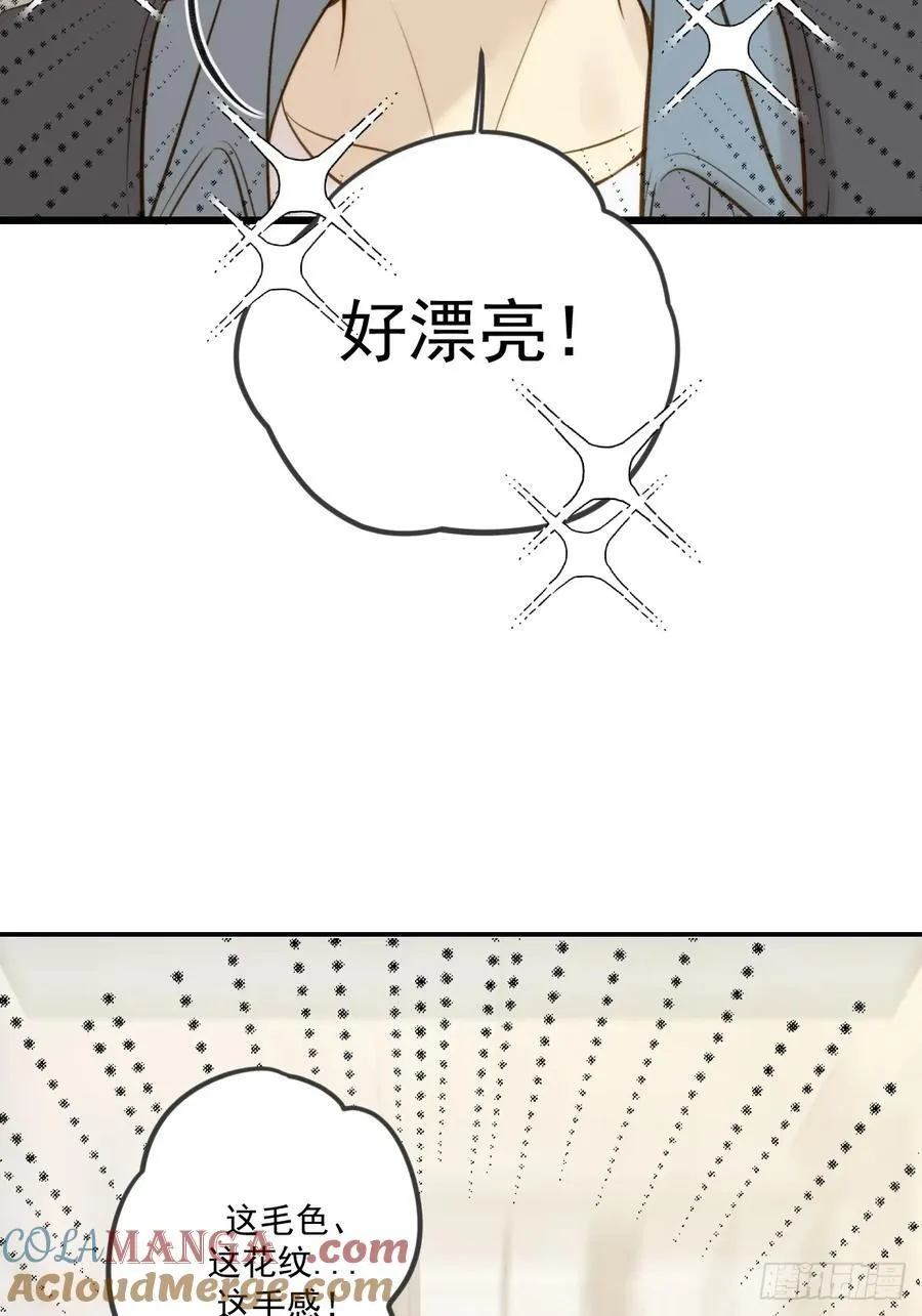 家里多了两只？42