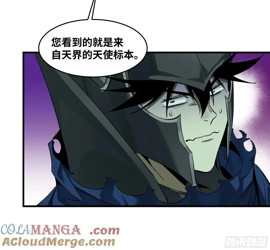 120 标本27