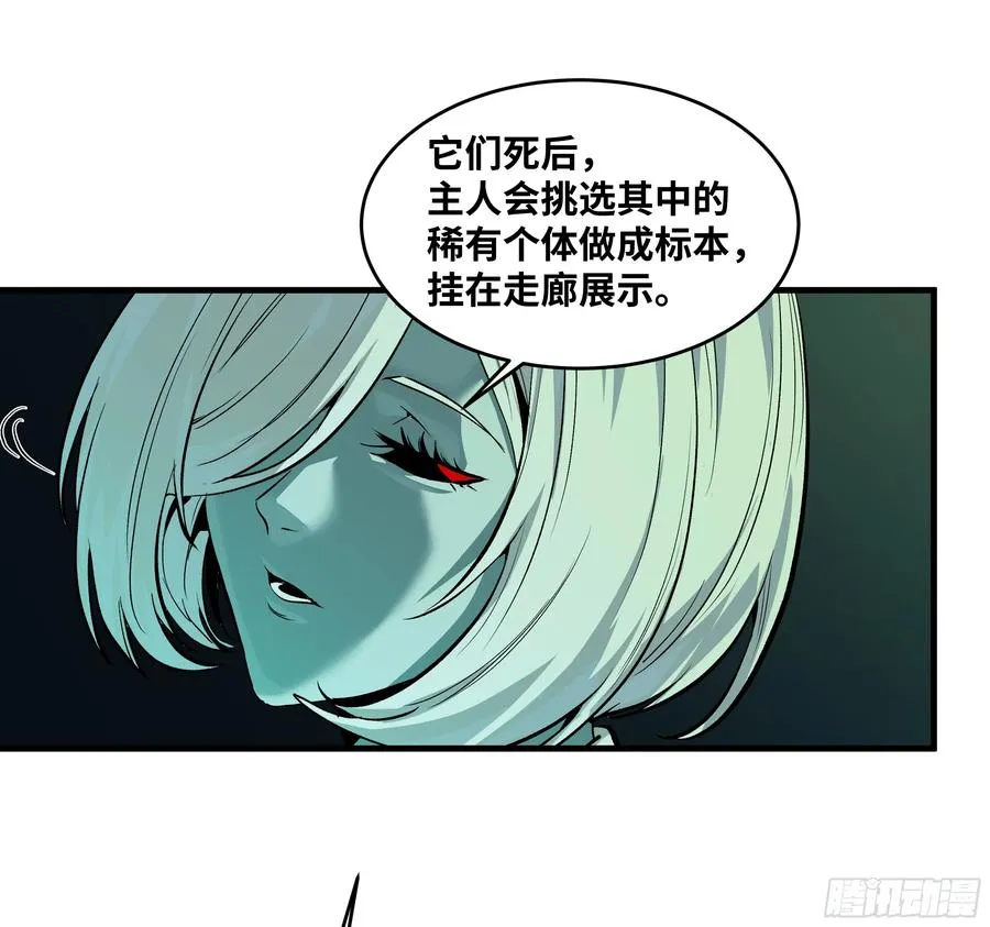 120 标本26