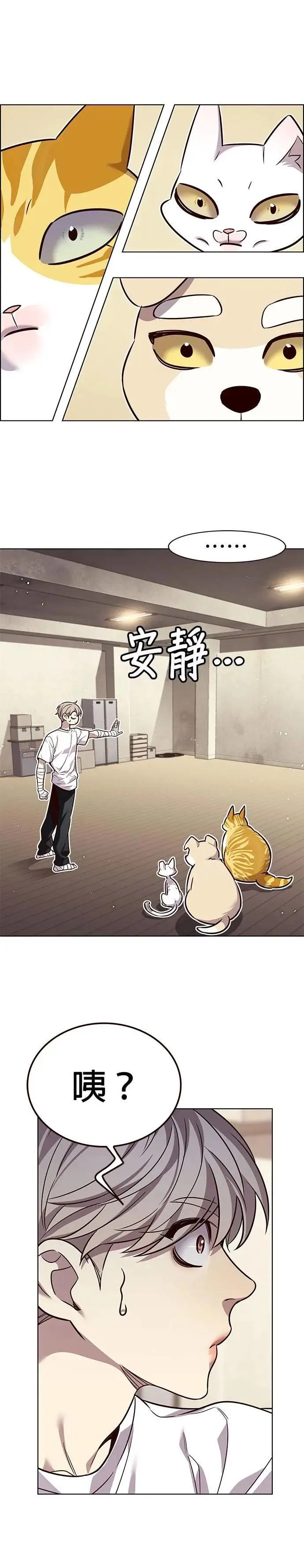 第330话24