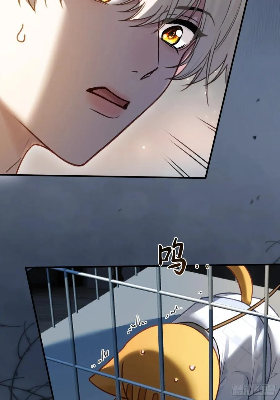 112 魔君vs天君25