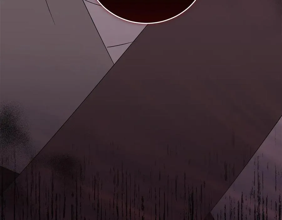 第85话 层层保护207