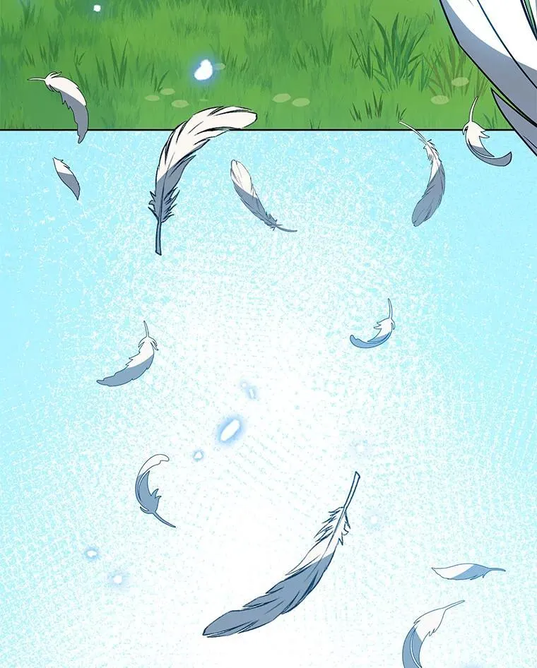 129.分化成功71
