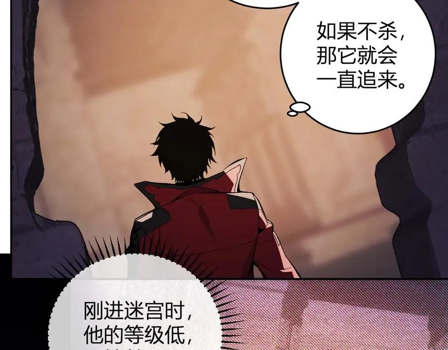 第56话 迷宫中隐藏的机会113