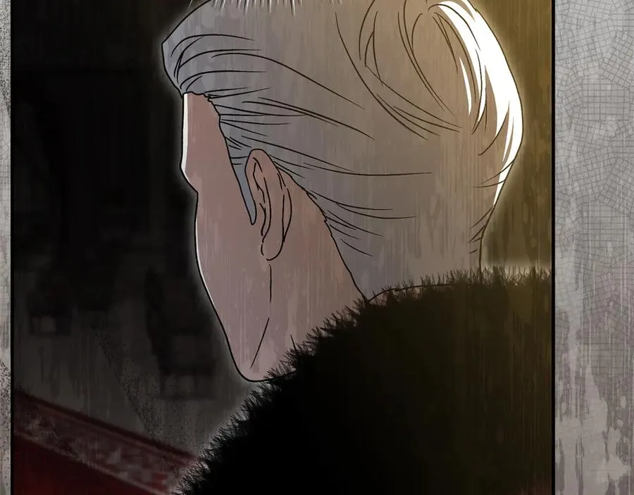 第87话 手拿玫瑰的强者161