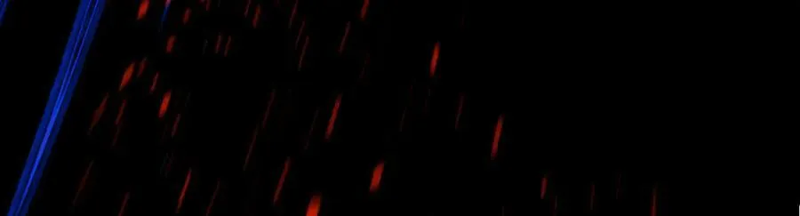 第三十一回 郑青祯（上）229
