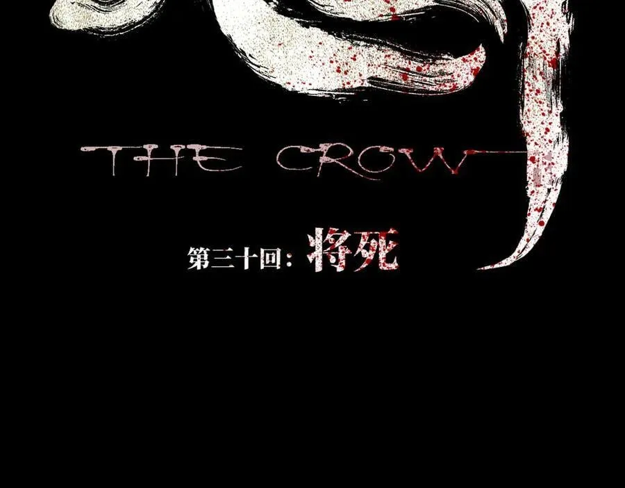 第三十回 将死5
