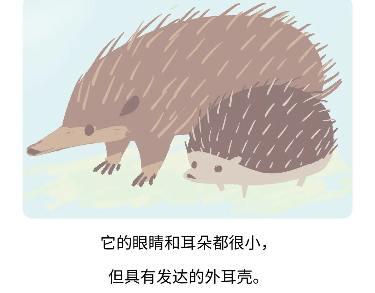 第255话19
