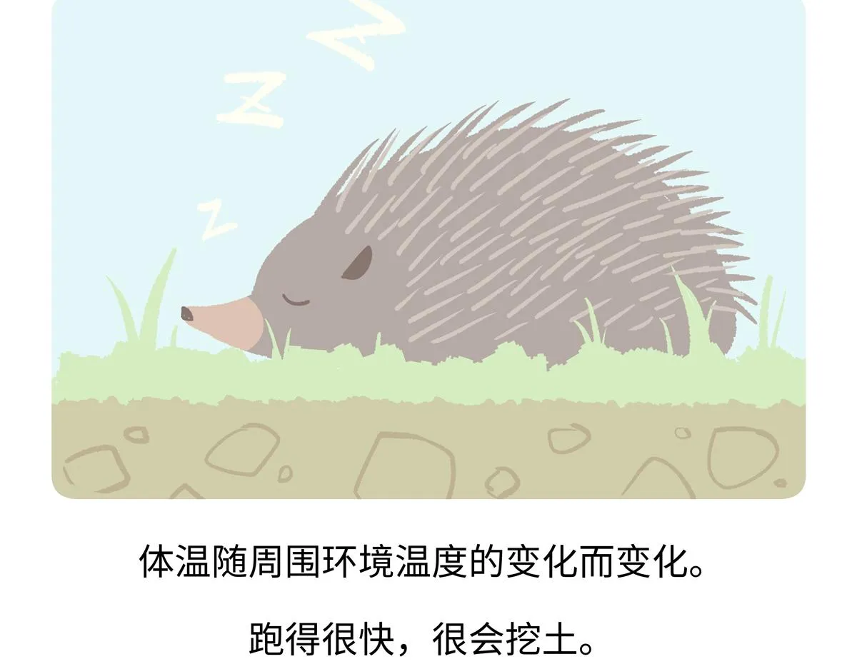 第256话27