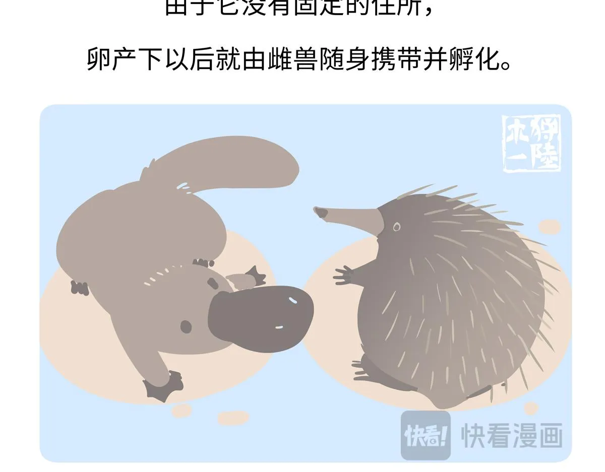 第258话20