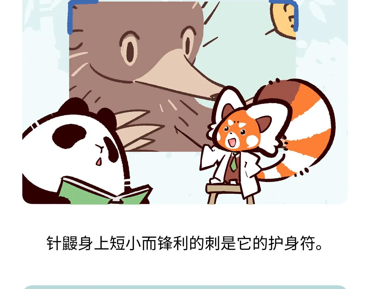 第255话25