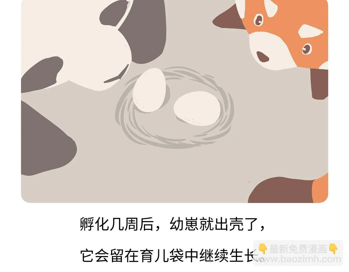 第258话24