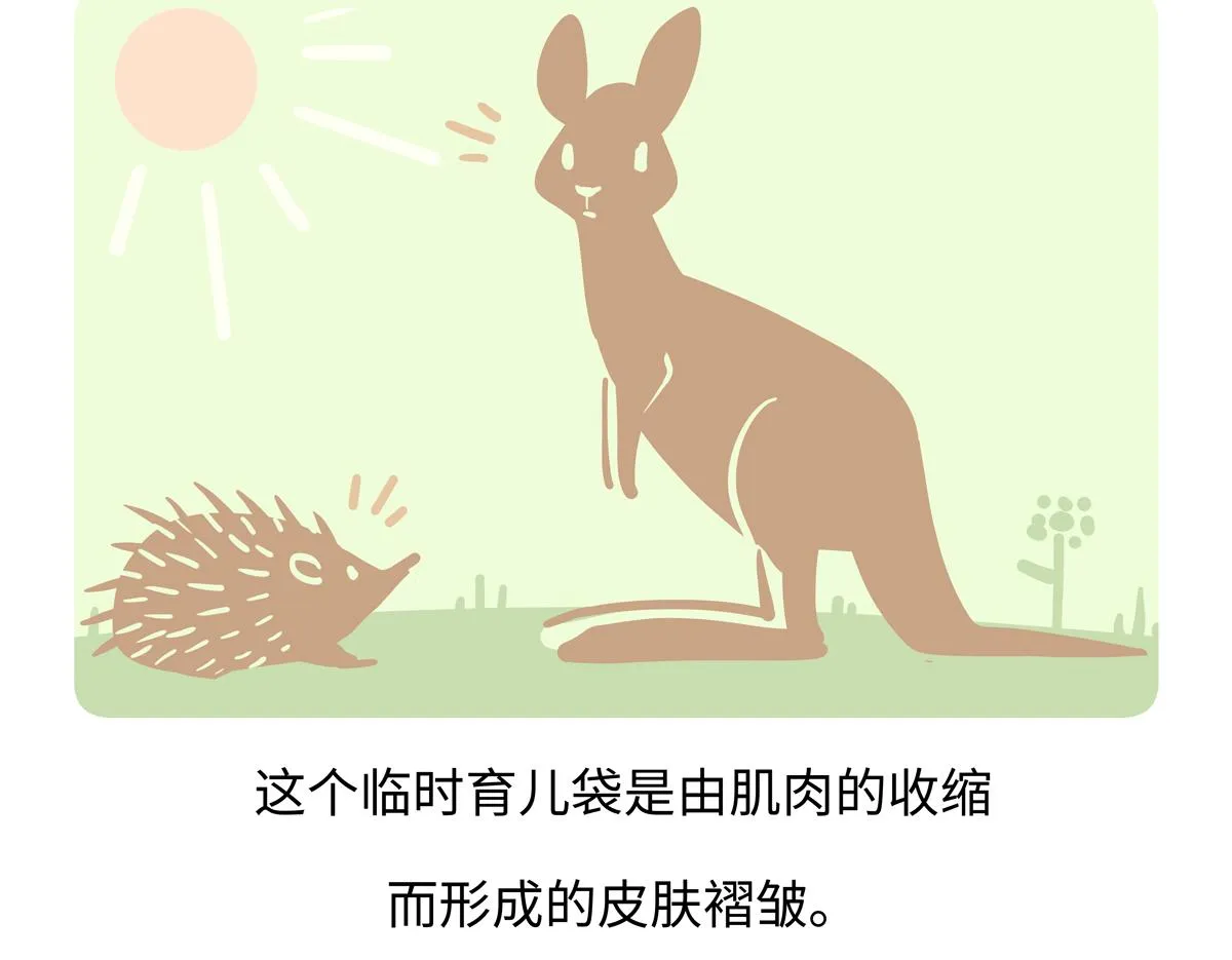 第258话18