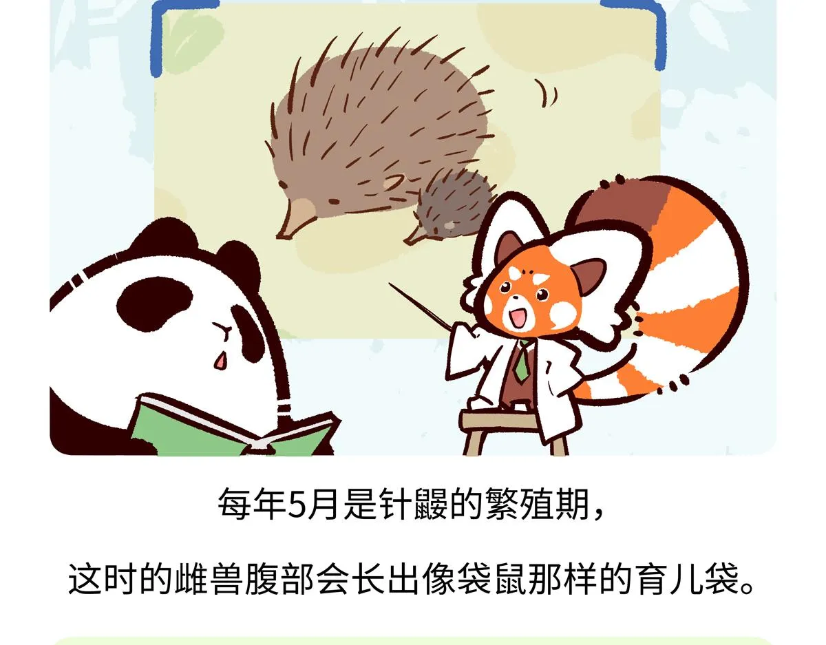 第258话17