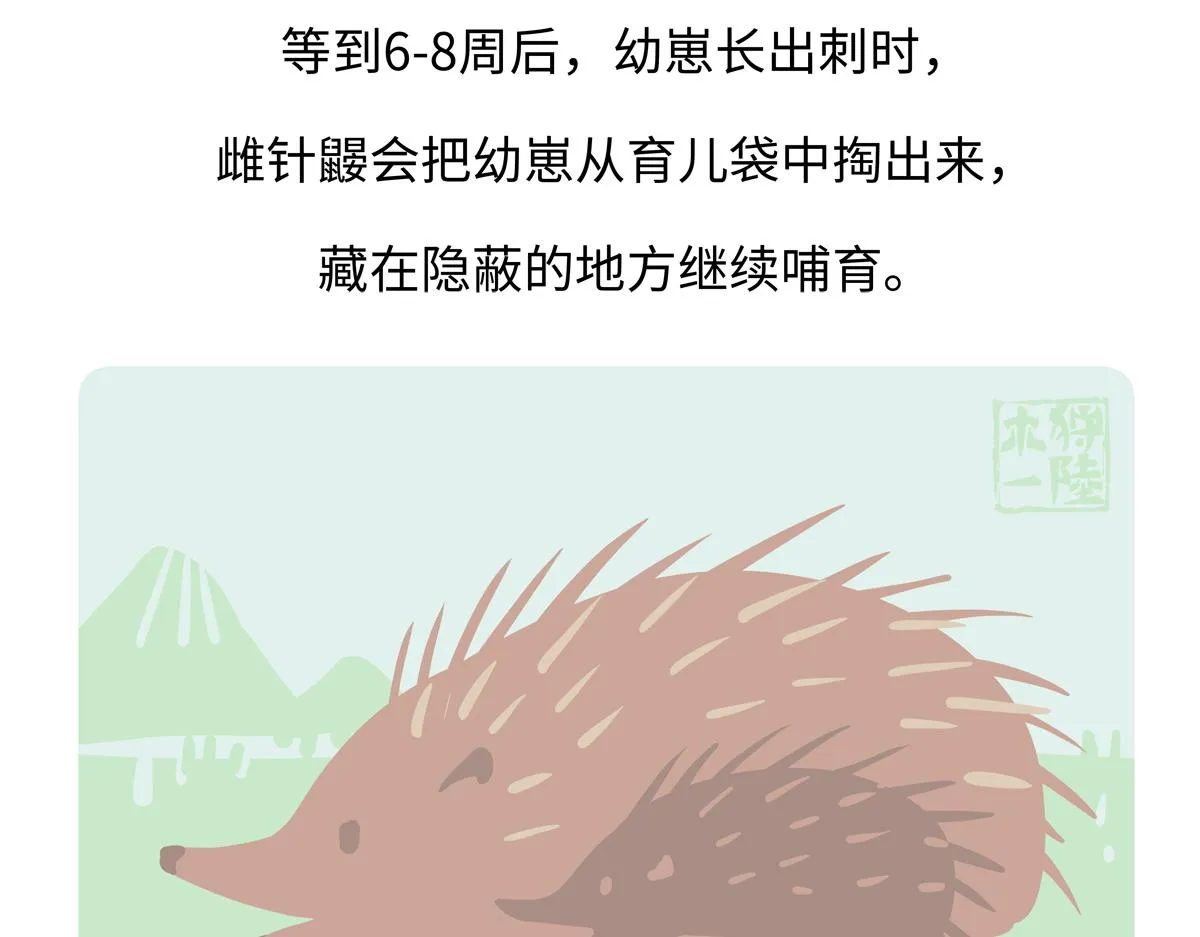 第258话26