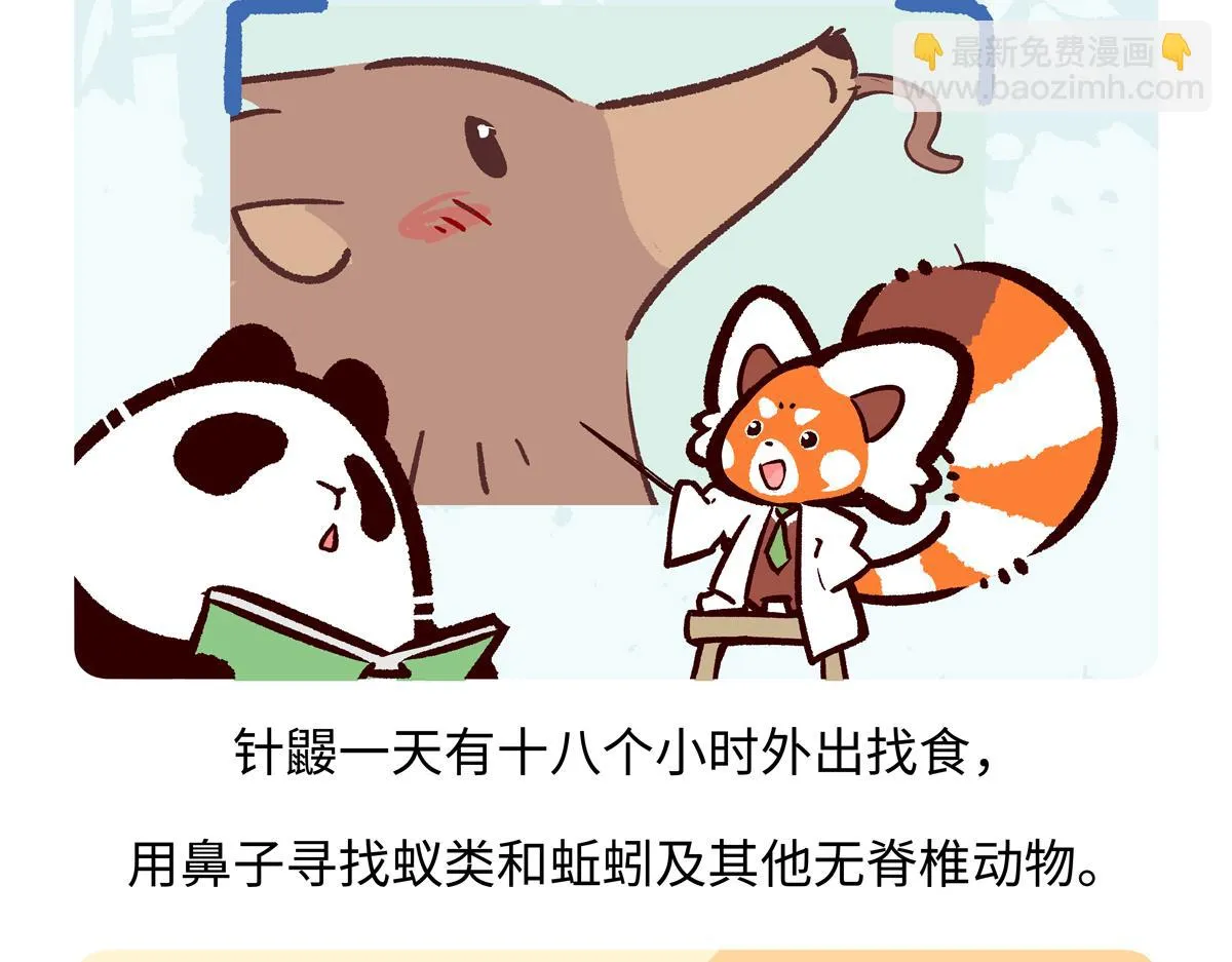第257话19