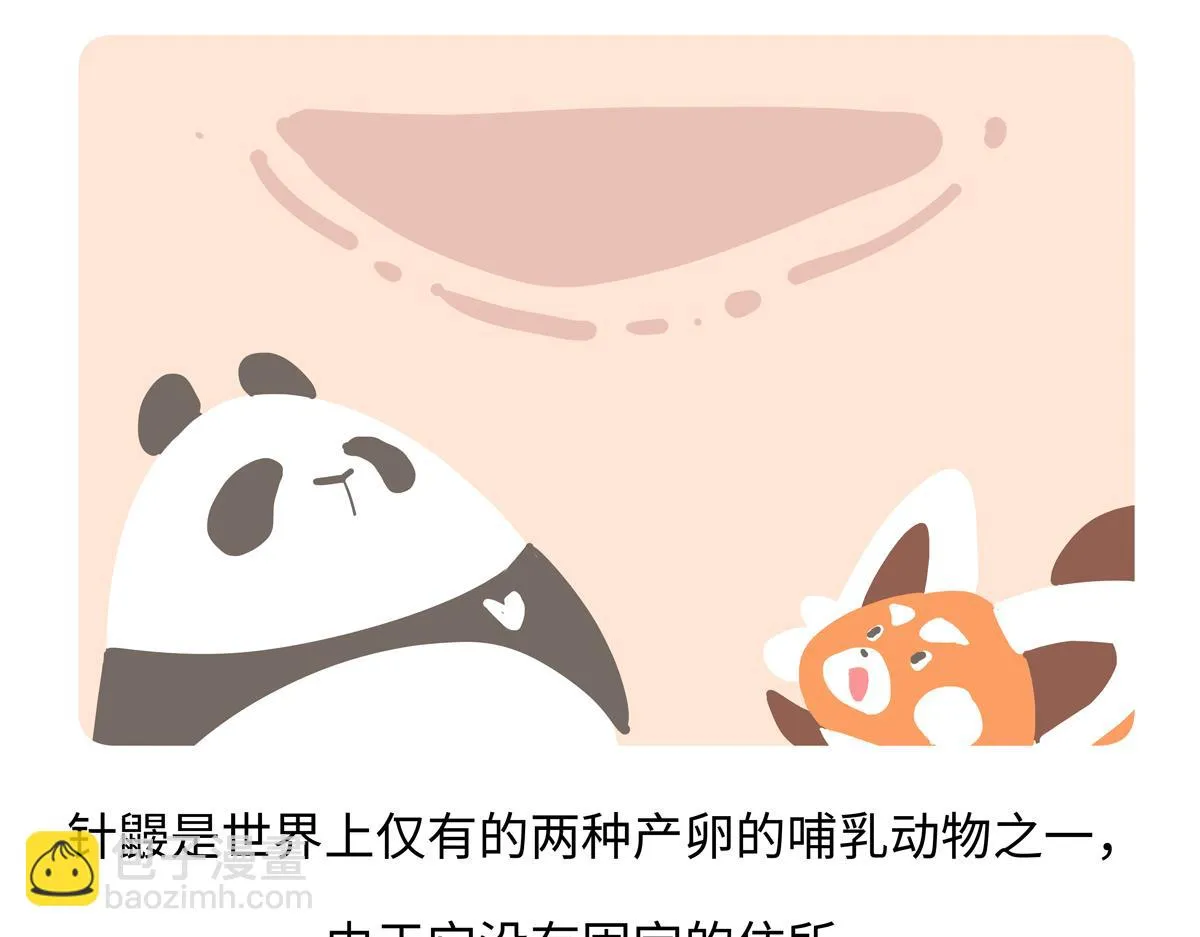 第258话19