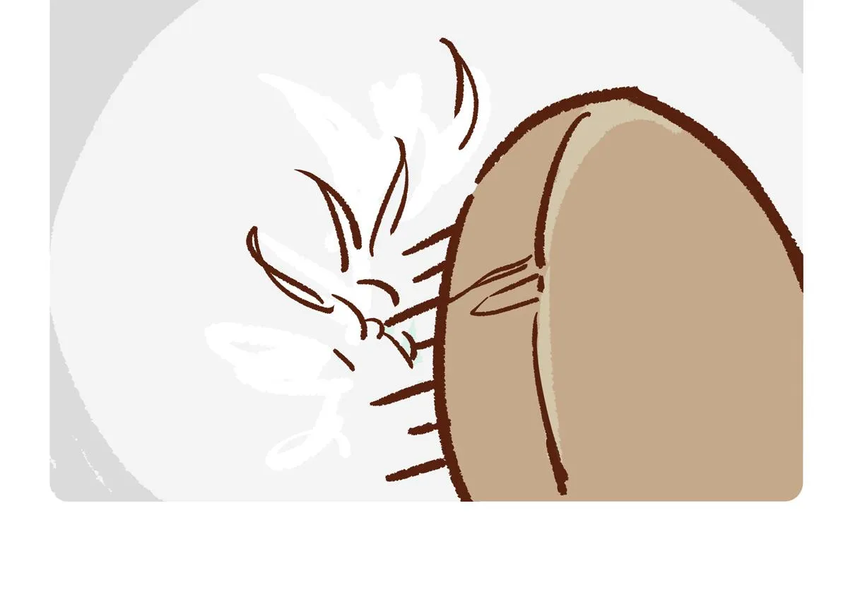 第258话4