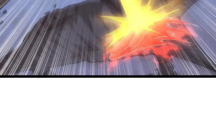 117-比斗结果27