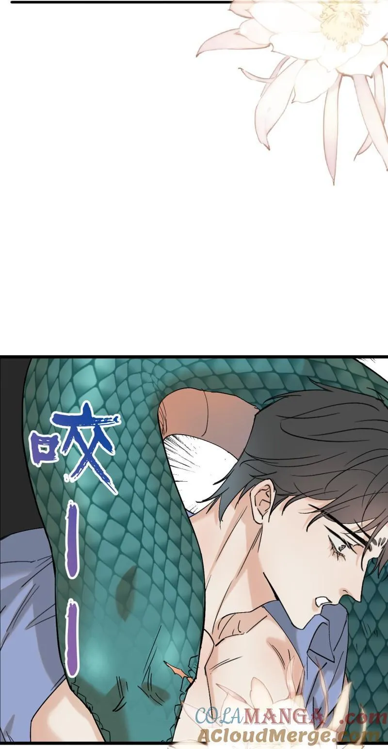 番外 蛇来运转（下）3
