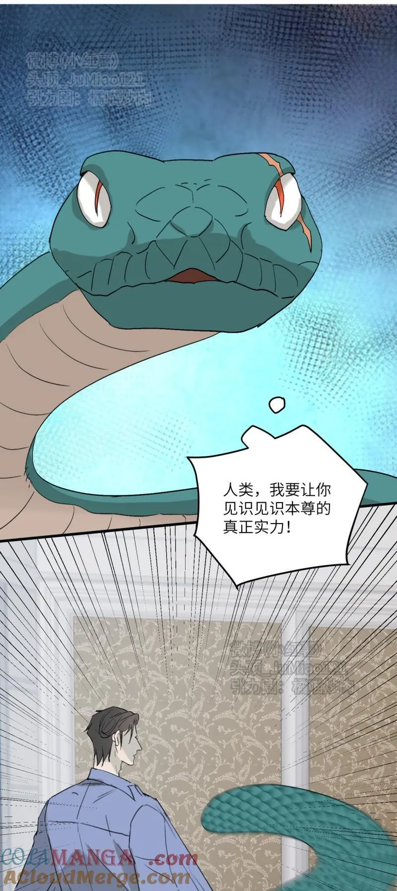 番外 蛇来运转（上）8