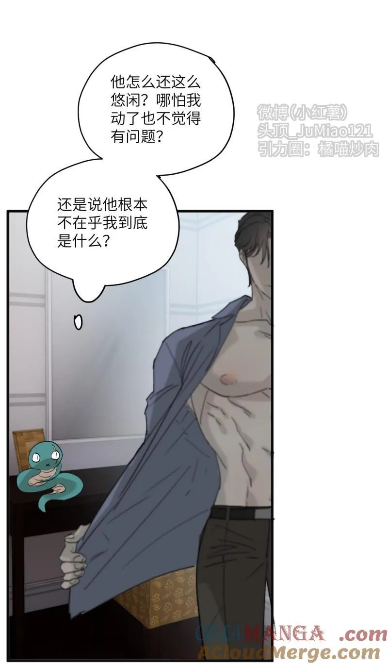 番外 蛇来运转（上）7