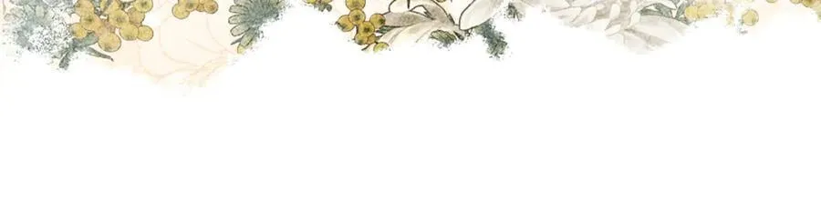 第83话 召开作战会议194