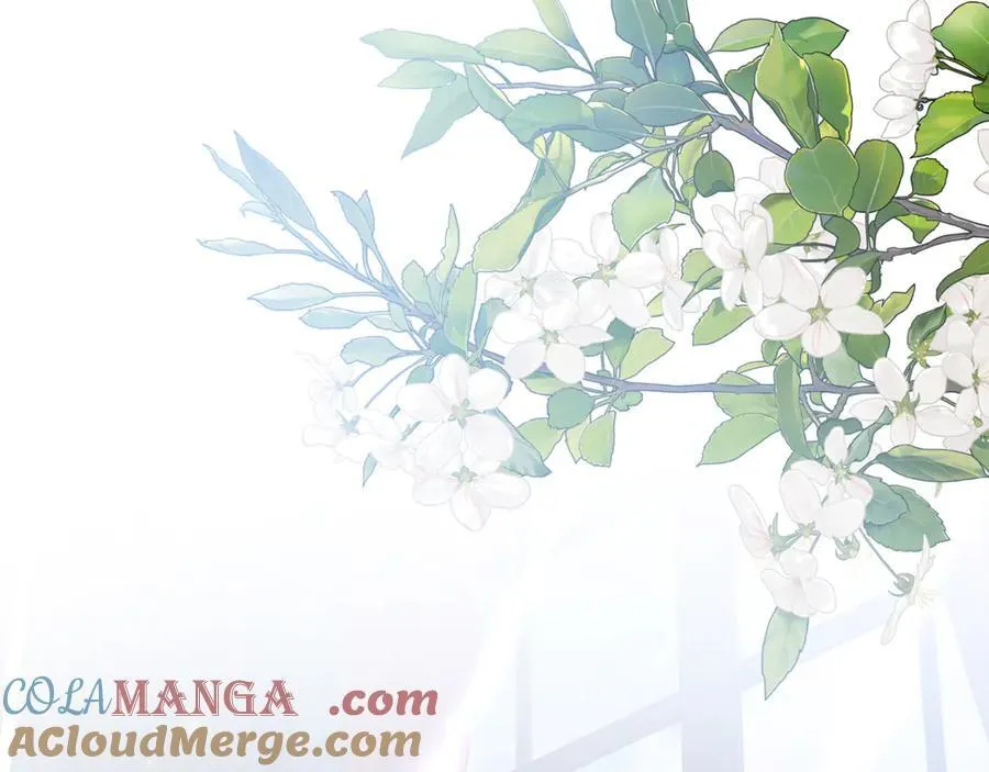 第87话 教皇登场144